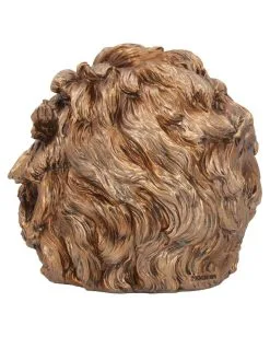 Albert Einstein Totenschädel 21cm -Halloween-Dekoration Verkäufe albert einstein totenkopf albert einstein totenschaedel albert einstein skull 54562 04