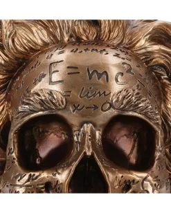 Albert Einstein Totenschädel 21cm -Halloween-Dekoration Verkäufe albert einstein totenkopf albert einstein totenschaedel albert einstein skull 54562 05