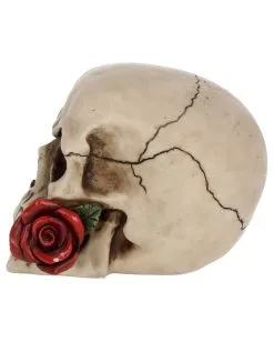 Beiger Totenschädel Mit Roter Rose 15cm -Halloween-Dekoration Verkäufe beiger totenkopf mit roter rose beiger totenschaedel mit roter rose antic skull with red rose 53389 03