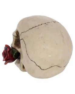 Beiger Totenschädel Mit Roter Rose 15cm -Halloween-Dekoration Verkäufe beiger totenkopf mit roter rose beiger totenschaedel mit roter rose antic skull with red rose 53389 04