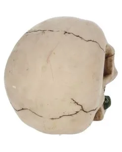 Beiger Totenschädel Mit Roter Rose 15cm -Halloween-Dekoration Verkäufe beiger totenkopf mit roter rose beiger totenschaedel mit roter rose antic skull with red rose 53389 05