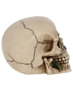 Beiger Totenschädel Mit Roter Rose 15cm -Halloween-Dekoration Verkäufe beiger totenkopf mit roter rose beiger totenschaedel mit roter rose antic skull with red rose 53389 06