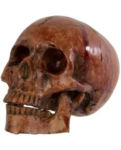 Blutiger Skull Mit Beweglichem Kiefer