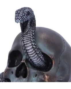 Schuppige Schlange In Totenkopf 19cm -Halloween-Dekoration Verkäufe das schicksal der schlange gothic schaedel 19cm serpentine fate gothic snake skull gothic deko totenkopf 53993 5