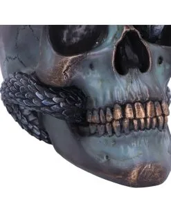 Schuppige Schlange In Totenkopf 19cm -Halloween-Dekoration Verkäufe das schicksal der schlange gothic schaedel 19cm serpentine fate gothic snake skull gothic deko totenkopf 53993 6