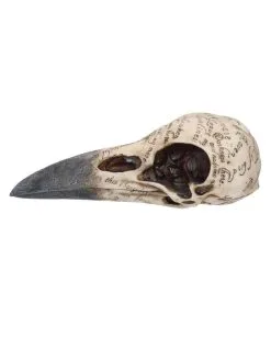 Edgar´s Raben Totenschädel -Halloween-Dekoration Verkäufe edgars raben skelettschaedel edgars raben totenschaedel edgars raven skull 39198 03