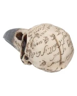 Edgar´s Raben Totenschädel -Halloween-Dekoration Verkäufe edgars raben skelettschaedel edgars raben totenschaedel edgars raven skull 39198 04