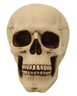 Graveyard Totenschädel Large 5 Graveyard Totenschädel Large -Halloween-Dekoration Verkäufe graveyard totenkopf large graveyard totenschaedel graveyard skull large gothic deko 52351 02