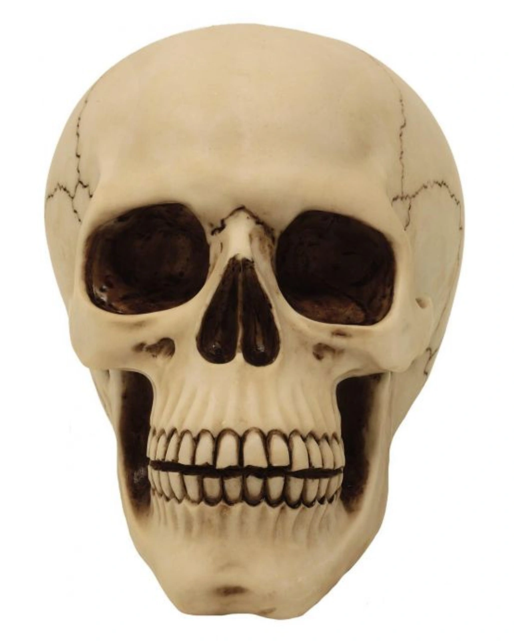 Graveyard Totenschädel Large 3 Graveyard Totenschädel Large – Bild 3