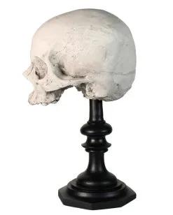 J. DOE Totenschädel Auf Sockel 20cm -Halloween-Dekoration Verkäufe j doe totenkopf auf sockel j doe totenschaedel auf sockel j doe skull plinth gothic homware 54857 02