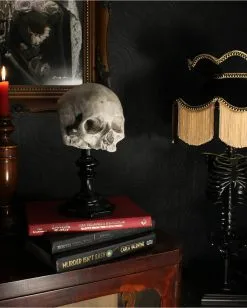 J. DOE Totenschädel Auf Sockel 20cm -Halloween-Dekoration Verkäufe j doe totenkopf auf sockel j doe totenschaedel auf sockel j doe skull plinth gothic homware 54857 05