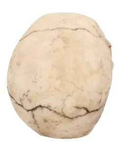 Kleiner Grinsender Totenkopf 12cm -Halloween-Dekoration Verkäufe kleiner grinsender totenschaedel small joker skull totenkopf dekoration gothic deko 50730 05