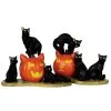 Lemax Spooky Town - Halloween Katzen 2er Set