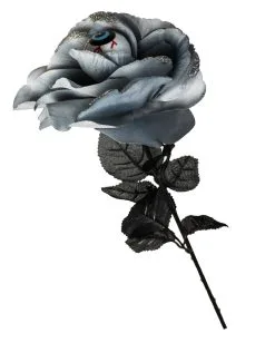 Schwarz/Graue Rose Mit Auge