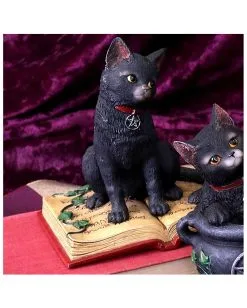 Schwarze Hexenkatze Mit Pentagramm -Halloween-Dekoration Verkäufe schwarze katze mit hexenbuch schwarze hexenkatze mit pentagramm witch cat eclipse 39250 05
