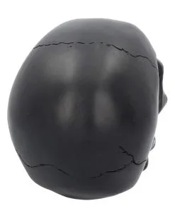 Schwarzer Totenschädel Mit Goldener Rose 15cm 10 Schwarzer Totenschädel Mit Goldener Rose 15cm -Halloween-Dekoration Verkäufe schwarzer totenkopf mit goldener rose black skull with golden rose gothic deko gothic totenkopf 54621 05