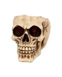 Realistische Totenschädel Schale Mit Offener Schädeldecke 8 Realistische Totenschädel Schale Mit Offener Schädeldecke -Halloween-Dekoration Verkäufe totenschaedel schale mit offener schaedeldecke realistic skull mug morbide gothic deko halloween deko totenschaedel 39289 3