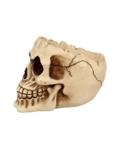 Realistische Totenschädel Schale Mit Offener Schädeldecke 10 Realistische Totenschädel Schale Mit Offener Schädeldecke -Halloween-Dekoration Verkäufe totenschaedel schale mit offener schaedeldecke realistic skull mug morbide gothic deko halloween deko totenschaedel 39289 4