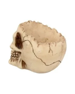 Realistische Totenschädel Schale Mit Offener Schädeldecke 9 Realistische Totenschädel Schale Mit Offener Schädeldecke -Halloween-Dekoration Verkäufe totenschaedel schale mit offener schaedeldecke realistic skull mug morbide gothic deko halloween deko totenschaedel 39289 5