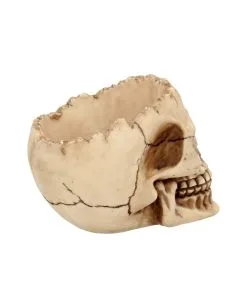 Realistische Totenschädel Schale Mit Offener Schädeldecke 11 Realistische Totenschädel Schale Mit Offener Schädeldecke -Halloween-Dekoration Verkäufe totenschaedel schale mit offener schaedeldecke realistic skull mug morbide gothic deko halloween deko totenschaedel 39289 6