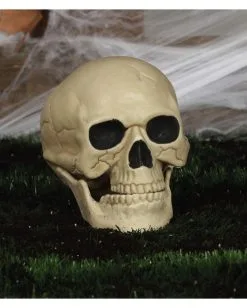 Wetterfester Totenschädel Mit Beweglichem Kiefer 20cm -Halloween-Dekoration Verkäufe wetterfester totenkopf mit beweglichem kiefer weatherproof skull with moveable jaw halloween totenschaedel 53405 04